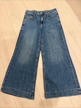 Anthropologie Pilcro Wide Leg Blue Denim Jeans SZ 28
